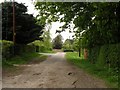 The approach road to Ashdon church