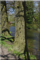 Brownsover Arm, Oxford Canal