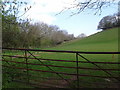 Field entrance at Lower Vexford