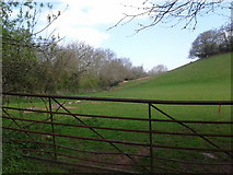 ST1135 : Field entrance at Lower Vexford by Rob Purvis