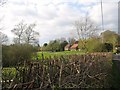 Fields behind Wheelers Farm, Thursley