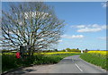 Letter box and telephone kiosk at Pegsdon