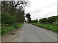 Road next to Mossymere Wood