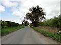 Road next to Mossymere Wood