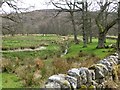 Tributary to the Grasslees Burn