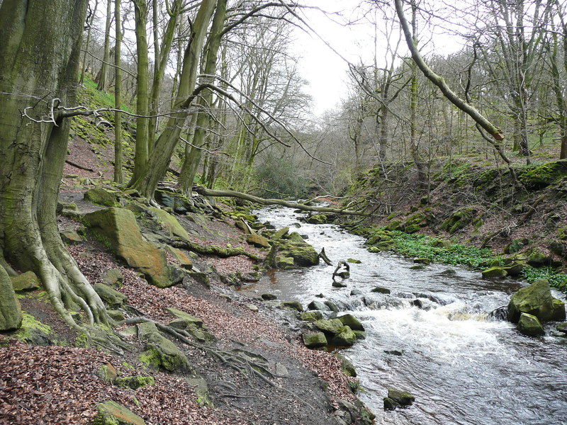 Booth Dean Clough upstream of the weir © Humphrey Bolton :: Geograph ...