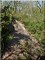 Rock outcrop, Alexandrina Plantation, Bramcote Hills