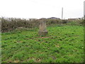 Field to the north of Honeydown Farm containing Trig Pillar with exposed foundations