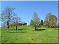 Field near Sandon Street, Leek