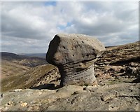 SK1087 : Gritstone pedestal above the Grindsbrook Valley by Neil Theasby