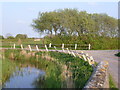 Romney Marsh scene near Brenzett