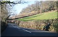 A382 passing Northcombe Copse