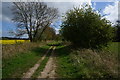 Hudson Way near Etton Fields Farm