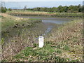 Ladysmill Burn joins the River Carron