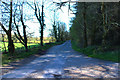 NX8054 : Road to the A711 at Screel Wood by Billy McCrorie