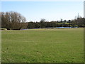 Pond near Ufton Fields