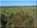 On the Footpath between Harrop Lodge and Harrop Hall