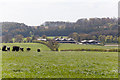 Home farm buildings on South Lynch estate