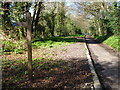 South Downs Way, path into Winchester