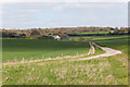 Field and barn on Pitt Down