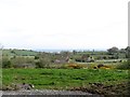 Farmhouse north of Carrivekeeny Road