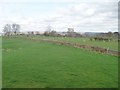 Sheep fields, Grassgill