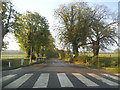 Zebra crossing outside Combe Bank school