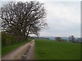 Track and Footpath Towards Champion Farm