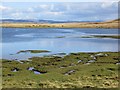 Salt marsh, Loch Don