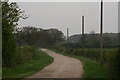 Track from Holtham Garrs to Croppersgorse Plantation