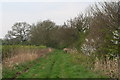 Bridleway to Collow from Hainton