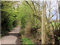 Path into Yarrow Valley Park