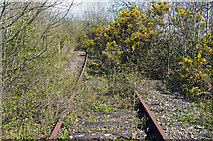 ST5594 : The Wye Valley Line by Stuart Wilding