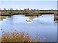 SD4213 : Reedbeds Viewed From The Harrier Hide at Martin Mere by David Dixon