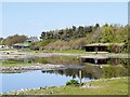 SD4214 : Wetland Centre, Martin Mere by David Dixon