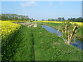 Footpath alongside the Cheyne Gut Sewer