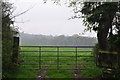 Mid Devon : Grassy Field & Gate