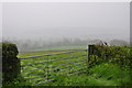 Mid Devon : Grassy Field & Gate