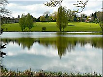 ST9770 : East across the lake, Bowood, Calne by Brian Robert Marshall
