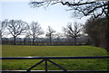 Field near Egerton Forstal