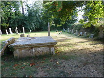 ST5308 : St Juthware and Mary, Halstock: churchyard (c) by Basher Eyre
