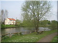 The village pond, North Carlton