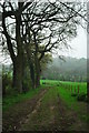 Farm track at Dursley Cross