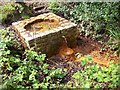 The Holy Well at Bisley