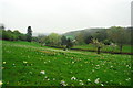 Meadow at Boxbush