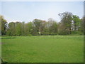 Meadow in the middle of the village