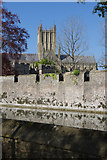 ST5545 : Wells Cathedral by Stephen McKay