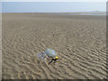 SJ0985 : Barkby Beach and a Barrel jellyfish by John S Turner