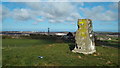 NZ3554 : Hasting Hill trig point, Sunderland by Malc McDonald