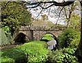 SE2768 : Bridge over the Skell, Fountains Abbey by Derek Harper